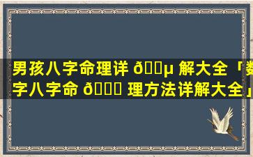 男孩八字命理详 🌵 解大全「数字八字命 🐅 理方法详解大全」